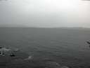./images/koeye/fitz-hugh/20170215/fitz-hugh20170215_172704.jpg