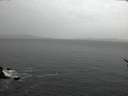 ./images/koeye/fitz-hugh/20170215/fitz-hugh20170215_180003.jpg