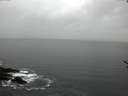 ./images/koeye/fitz-hugh/20170216/fitz-hugh20170216_080001.jpg