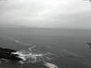 ./images/koeye/fitz-hugh/20170216/fitz-hugh20170216_092706.jpg