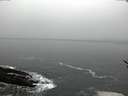 ./images/koeye/fitz-hugh/20170216/fitz-hugh20170216_095707.jpg