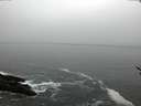 ./images/koeye/fitz-hugh/20170216/fitz-hugh20170216_100003.jpg