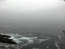 ./images/koeye/fitz-hugh/20170216/fitz-hugh20170216_105706.jpg