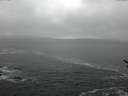 ./images/koeye/fitz-hugh/20170216/fitz-hugh20170216_162704.jpg