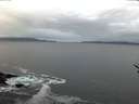 ./images/koeye/fitz-hugh/20170217/fitz-hugh20170217_072705.jpg