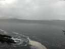 ./images/koeye/fitz-hugh/20170217/fitz-hugh20170217_085706.jpg