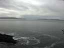 ./images/koeye/fitz-hugh/20170217/fitz-hugh20170217_102705.jpg