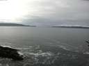 ./images/koeye/fitz-hugh/20170217/fitz-hugh20170217_105706.jpg