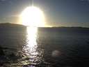 ./images/koeye/fitz-hugh/20170217/fitz-hugh20170217_165702.jpg