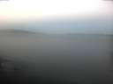 ./images/koeye/fitz-hugh/20170218/fitz-hugh20170218_072705.jpg