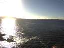 ./images/koeye/fitz-hugh/20170218/fitz-hugh20170218_155704.jpg