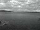 ./images/koeye/fitz-hugh/20170219/fitz-hugh20170219_065706.jpg