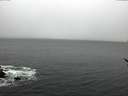 ./images/koeye/fitz-hugh/20170225/fitz-hugh20170225_135703.jpg
