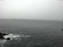 ./images/koeye/fitz-hugh/20170225/fitz-hugh20170225_142704.jpg