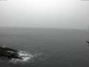 ./images/koeye/fitz-hugh/20170225/fitz-hugh20170225_152703.jpg