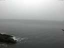 ./images/koeye/fitz-hugh/20170225/fitz-hugh20170225_155704.jpg