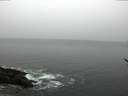 ./images/koeye/fitz-hugh/20170225/fitz-hugh20170225_160002.jpg