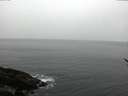 ./images/koeye/fitz-hugh/20170225/fitz-hugh20170225_165704.jpg