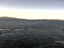 ./images/koeye/fitz-hugh/20170226/fitz-hugh20170226_105706.jpg