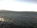 ./images/koeye/fitz-hugh/20170226/fitz-hugh20170226_121802.jpg