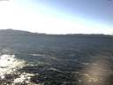 ./images/koeye/fitz-hugh/20170226/fitz-hugh20170226_135704.jpg