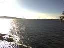 ./images/koeye/fitz-hugh/20170226/fitz-hugh20170226_152704.jpg