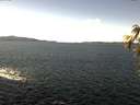 ./images/koeye/fitz-hugh/20170227/fitz-hugh20170227_122402.jpg
