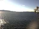 ./images/koeye/fitz-hugh/20170227/fitz-hugh20170227_142706.jpg