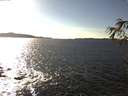./images/koeye/fitz-hugh/20170227/fitz-hugh20170227_152706.jpg