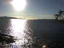 ./images/koeye/fitz-hugh/20170227/fitz-hugh20170227_162707.jpg