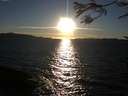 ./images/koeye/fitz-hugh/20170227/fitz-hugh20170227_172706.jpg