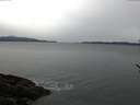 ./images/koeye/fitz-hugh/20170228/fitz-hugh20170228_075709.jpg