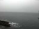 ./images/koeye/fitz-hugh/20170228/fitz-hugh20170228_095710.jpg