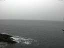 ./images/koeye/fitz-hugh/20170228/fitz-hugh20170228_100001.jpg