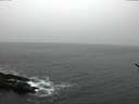 ./images/koeye/fitz-hugh/20170228/fitz-hugh20170228_102710.jpg