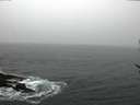 ./images/koeye/fitz-hugh/20170228/fitz-hugh20170228_105710.jpg