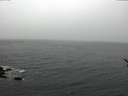 ./images/koeye/fitz-hugh/20170228/fitz-hugh20170228_115710.jpg