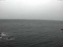 ./images/koeye/fitz-hugh/20170228/fitz-hugh20170228_122101.jpg