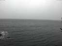 ./images/koeye/fitz-hugh/20170228/fitz-hugh20170228_122702.jpg