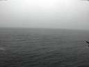 ./images/koeye/fitz-hugh/20170228/fitz-hugh20170228_132704.jpg