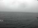./images/koeye/fitz-hugh/20170228/fitz-hugh20170228_135703.jpg