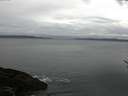 ./images/koeye/fitz-hugh/20170301/fitz-hugh20170301_085706.jpg