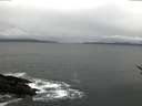./images/koeye/fitz-hugh/20170301/fitz-hugh20170301_105706.jpg