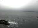 ./images/koeye/fitz-hugh/20170301/fitz-hugh20170301_112707.jpg