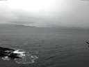 ./images/koeye/fitz-hugh/20170301/fitz-hugh20170301_120002.jpg