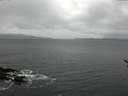 ./images/koeye/fitz-hugh/20170301/fitz-hugh20170301_122102.jpg