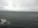 ./images/koeye/fitz-hugh/20170301/fitz-hugh20170301_135704.jpg