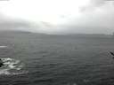 ./images/koeye/fitz-hugh/20170301/fitz-hugh20170301_140003.jpg