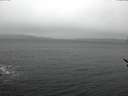 ./images/koeye/fitz-hugh/20170301/fitz-hugh20170301_145703.jpg