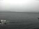 ./images/koeye/fitz-hugh/20170301/fitz-hugh20170301_155704.jpg